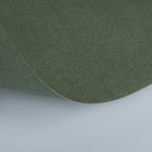 Бумага для пастели 210 х 297 мм, ХЛОПОК 45%, Lana Colours, 160 г/м², 1 лист, виридоновый зелёный, 15723145 - Фото 2