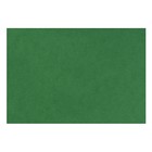 Бумага для пастели 210 х 297 мм, ХЛОПОК 45%, Lana Colours, 160 г/м², 1 лист, зелёный еловый, 15723127 - Фото 1