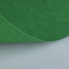 Бумага для пастели 210 х 297 мм, ХЛОПОК 45%, Lana Colours, 160 г/м², 1 лист, зелёный еловый, 15723127 - Фото 2