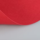 Бумага для пастели 210 х 297 мм, ХЛОПОК 45%, Lana Colours, 160 г/м², 1 лист, красный, 15723133 - Фото 2