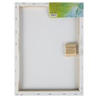 Холст на подрамнике, хлопок 100%, 30×40×1.8 см, акриловый грунт, мелкозернистый, 280 г/м² - Фото 4