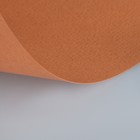 Бумага для пастели 210 х 297 мм, ХЛОПОК 45%, Lana Colours, 160 г/м², 1 лист, охра, 15723150 - Фото 2