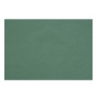 Бумага для пастели 210 х 297 мм, ХЛОПОК 45%, Lana Colours, 160 г/м², 1 лист, полынь, 15723144 - Фото 1