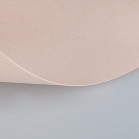 

Бумага для пастели 210 х 297 мм, ХЛОПОК 45%, Lana Colours, 160 г/м², 1 лист, розовый кварц, 15723122