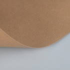 Бумага для пастели 210 х 297 мм, ХЛОПОК 45%, Lana Colours, 160 г/м², 1 лист, светло-коричневый, 15723151 - Фото 2