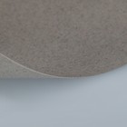 Бумага для пастели 210 х 297 мм, ХЛОПОК 45%, Lana Colours, 160 г/м², 1 лист, стальной серый, 15723158 - Фото 2