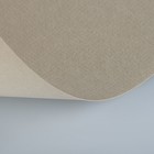 Бумага для пастели 397 х 420 мм, ХЛОПОК 45%, Lana Colours, 160 г/м², 1 лист, жемчужный, 15723189 - Фото 2