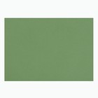 Бумага для пастели 397 х 420 мм, ХЛОПОК 45%, Lana Colours, 160 г/м², 1 лист, зелёный сок, 15723175 - Фото 1