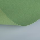 Бумага для пастели 397 х 420 мм, ХЛОПОК 45%, Lana Colours, 160 г/м², 1 лист, зелёный сок, 15723175 - Фото 2