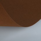 Бумага для пастели 397 х 420 мм, ХЛОПОК 45%, Lana Colours, 160 г/м², 1 лист, тёмно-коричневый, 15723186 - Фото 2