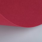 Бумага для пастели 500 х 650 мм, ХЛОПОК 45%, Lana Colours, 160 г/м², 1 лист, багряный, 15011485 - Фото 2