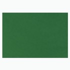 Бумага для пастели 500 х 650 мм, ХЛОПОК 45%, Lana Colours, 160 г/м², 1 лист, зелёный еловый, 15011457 - Фото 1