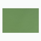 Бумага для пастели 500 х 650 мм, ХЛОПОК 45%, Lana Colours, 160 г/м², 1 лист, зелёный сок, 15011481 - Фото 1