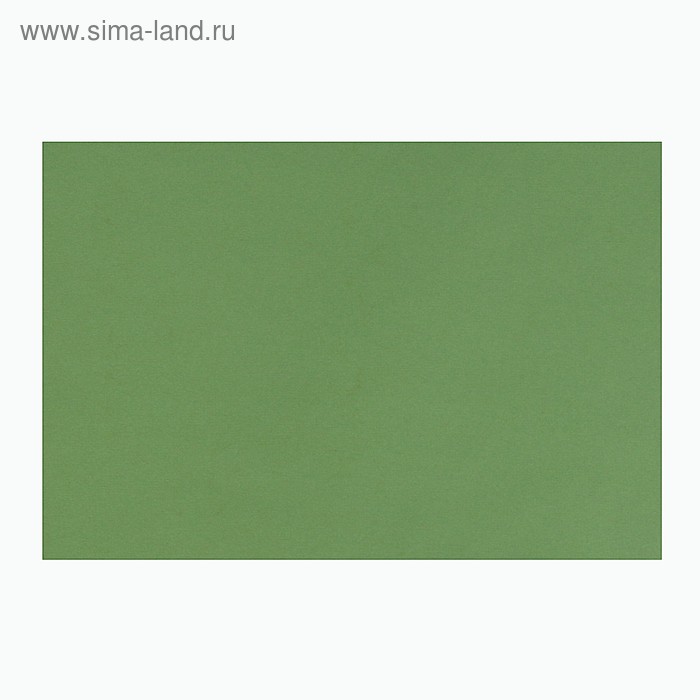 Бумага для пастели 500 х 650 мм, ХЛОПОК 45%, Lana Colours, 160 г/м², 1 лист, зелёный сок, 15011481 - Фото 1