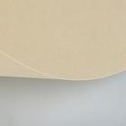 Бумага для пастели 500 х 650 мм, ХЛОПОК 45%, Lana Colours, 160 г/м², 1 лист, кремовый, 15011465 - Фото 2