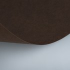 Бумага для пастели 500 х 650 мм, ХЛОПОК 45%, Lana Colours, 160 г/м², 1 лист, мокко, 15011454 - Фото 2