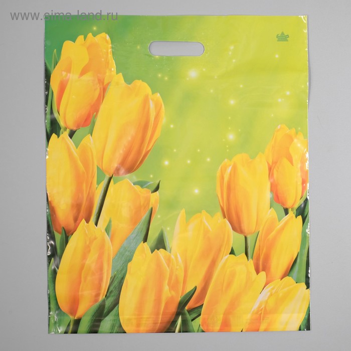 Пакет "Солнечные тюльпаны", полиэтиленовый с вырубной ручкой, 38 х 45 см, 60 мкм - Фото 1