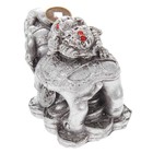 Нэцкэ полистоун серебро "Слон с жабой на спине" 5,5х7,5х4,5 см - Фото 3