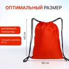 Мешок для обуви на шнурке, «ЗФТС», светоотражающая полоса, цвет красный - Фото 2