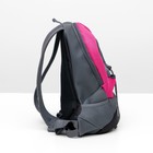 Рюкзак для переноски животных с креплением на талию, 31 х 15 х 39 см, розовый - Фото 3