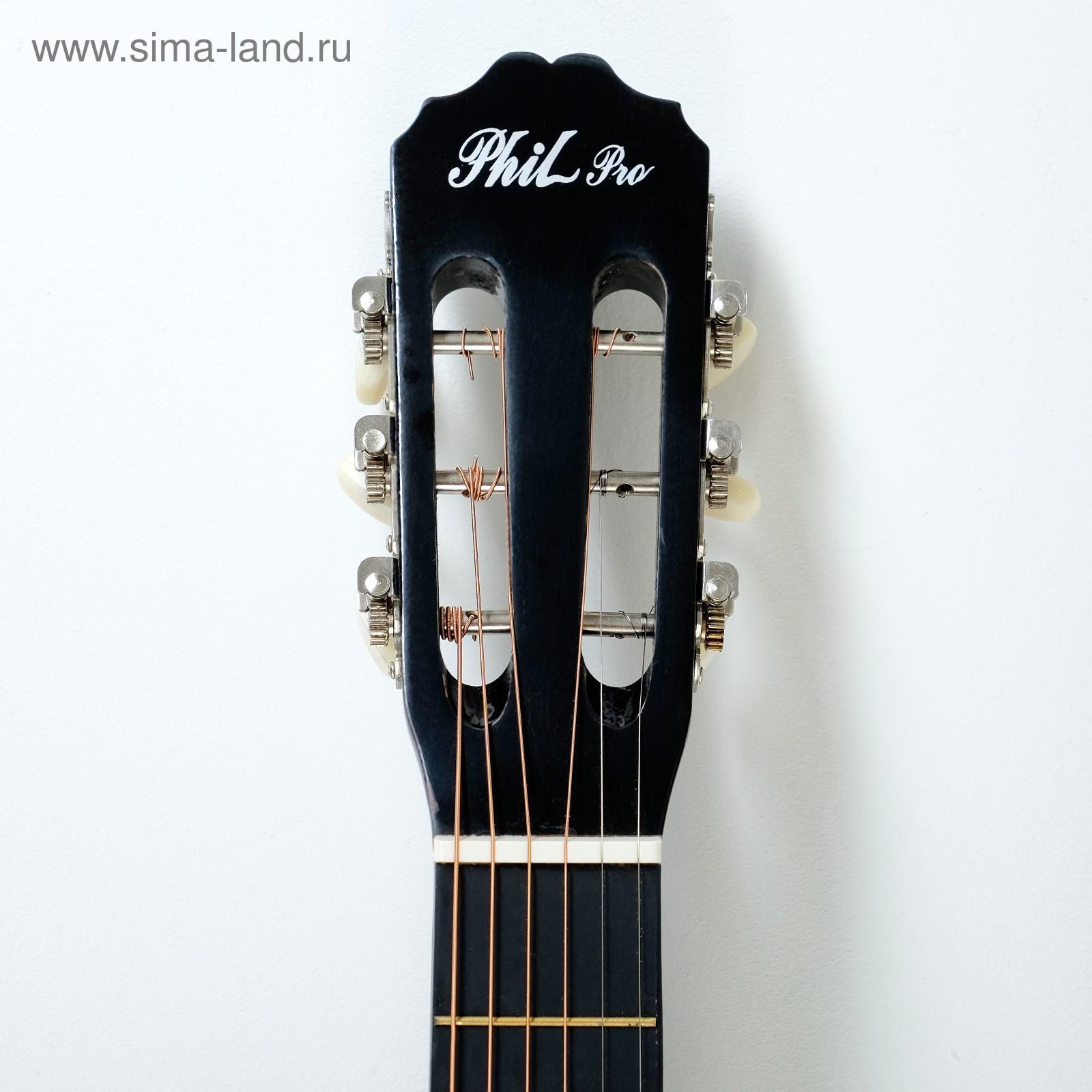 Гитара фил. Phil pro as - 39. акустическая гитара phil pro. электроакустическая гитара phil pro. phil pro as-39 sb.