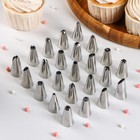 Набор насадок кондитерских, d=1.5 см, 24 шт., в кейсе, насадки МИКС - Фото 1