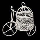 Сувенир металл "Трёхколёсный велосипед с клеткой" 9,5х10х5,8 см - Фото 1