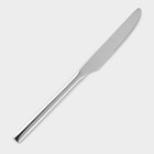 Нож столовый из нержавеющей стали «Хоккайдо», длина 23 см, цвет серебряный - фото 17441437