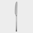 Нож столовый из нержавеющей стали «Хоккайдо», длина 23 см, цвет серебряный - фото 4587873