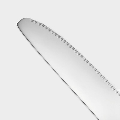 Нож столовый из нержавеющей стали «Хоккайдо», длина 23 см, цвет серебряный