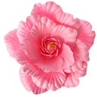 Цветы для фотосессий "Астра" розовая 30х30х40 см - Фото 2