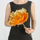 Цветы для фотосессий "Астра" золотая 30х30х40 см - Фото 1