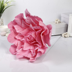 Цветы для фотосессий "Астра" розовая 50х50х40 см - Фото 1