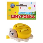 Шнуровка "Божья коровка" 4 цвета, окрас матовый, цвета МИКС - Фото 6