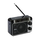 Радиоприёмник Ritmix RPR-171, FM, MP3, USB, AUX - фото 318051185