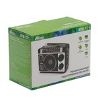 Радиоприёмник Ritmix RPR-171, FM, MP3, USB, AUX - фото 8370593