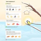 Скворечник, 18×9×15 см, Greengo - Фото 10