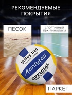 Волейбольный мяч ONLYTOP, машинная сшивка, 18 панелей, р. 5, PVC - Фото 4