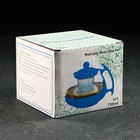 Чайник стеклянный заварочный «Яркость», 750 мл, с металлическим ситом, матовый, цвет МИКС - Фото 3