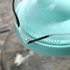 Чайник стеклянный заварочный «Рикки», 800 мл, цвет МИКС - Фото 2