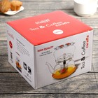 Чайник стеклянный заварочный «Мари», 1,2 л, 18,5×16×12,5 см, металлическое сито - фото 24348973