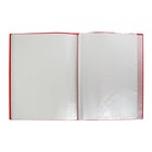 Папка А4, 80 прозрачных файлов, 400 мкм, МИКС - Фото 6