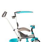 Велосипед трёхколёсный Micio Uno 2018, колёса EVA 10"/8", цвет голубой/серый - Фото 10