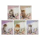 Тетрадь 12 листов косая линейка "Мурзики", картонная обложка, микс - Фото 1