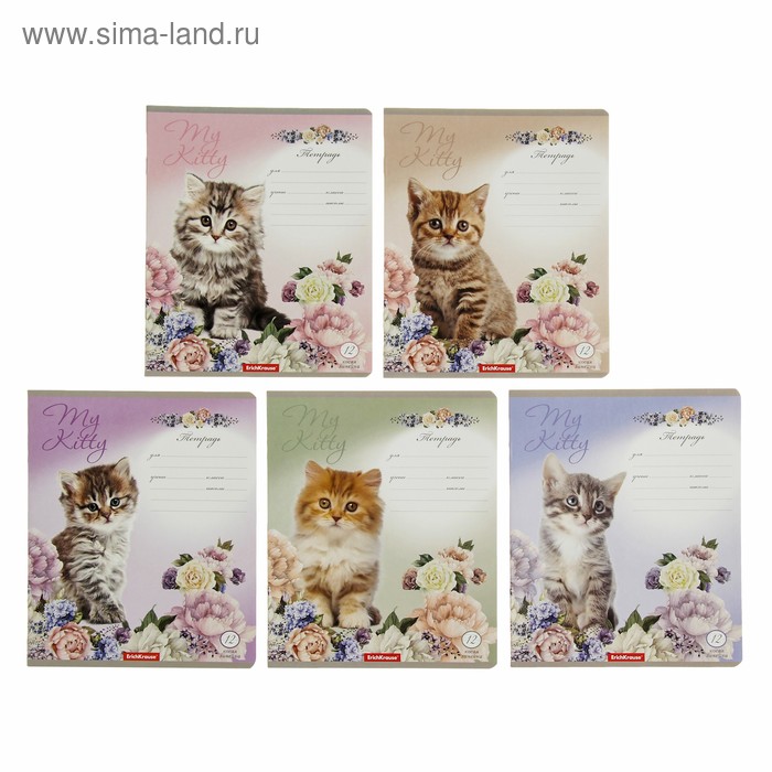 Тетрадь 12 листов косая линейка "Мурзики", картонная обложка, микс - Фото 1