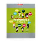 Тетрадь для записи иностранных слов, 48 листов в линейку, ErichKrause Hello, три столбца: слово, транскрипция, перевод, МИКС - Фото 11