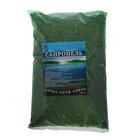 Сапропель органоминеральное удобрение, 2 л - Фото 1