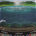 Сапропель органоминеральное удобрение, 2 л - Фото 3