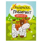 Раскраска-лабиринт. Цветной луг: книжка-раскраска - Фото 1