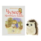 Кулик Е. Чудеса Маленького Ёжика: книга 4 - Фото 1